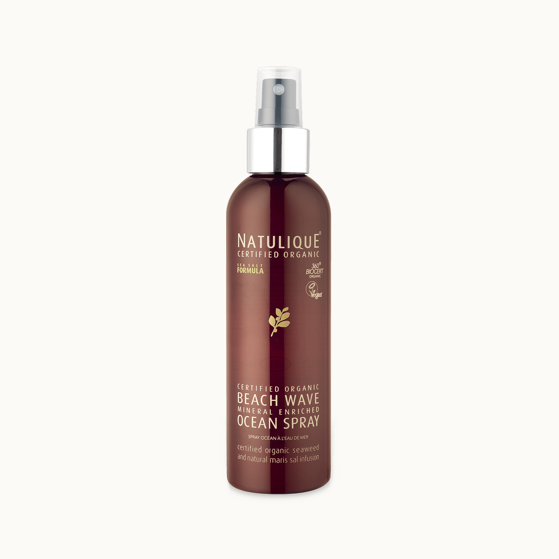 Beach Wave Ocean Spray